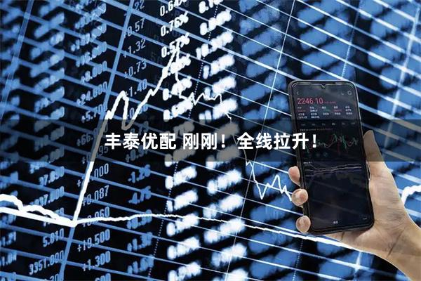 丰泰优配 刚刚！全线拉升！